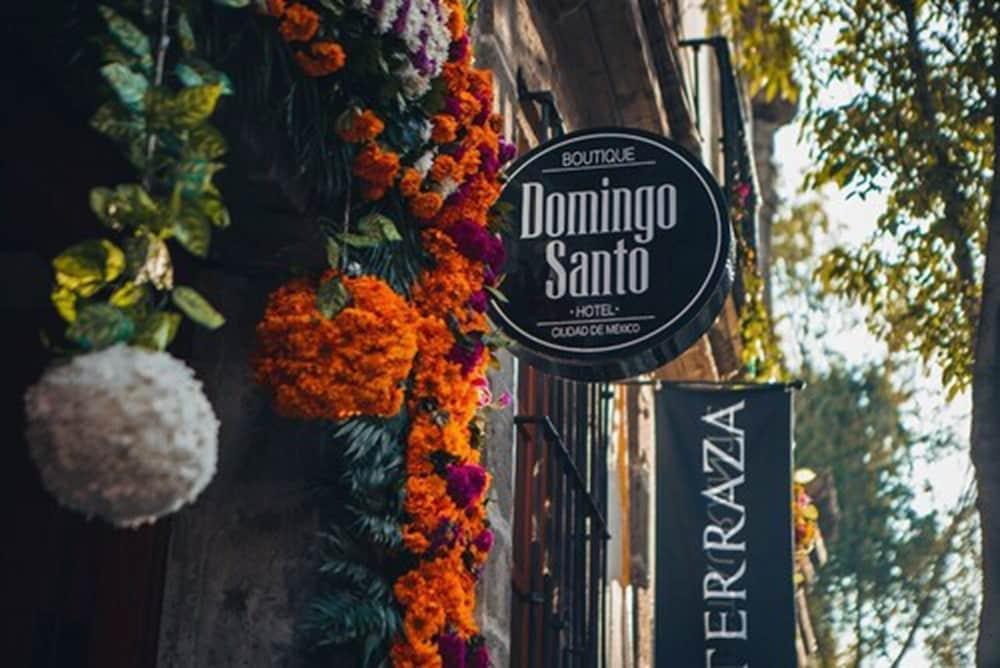Domingo Santo Hotel Boutique (Adults Only) เม็กซิโกซิตี้ ภายนอก รูปภาพ